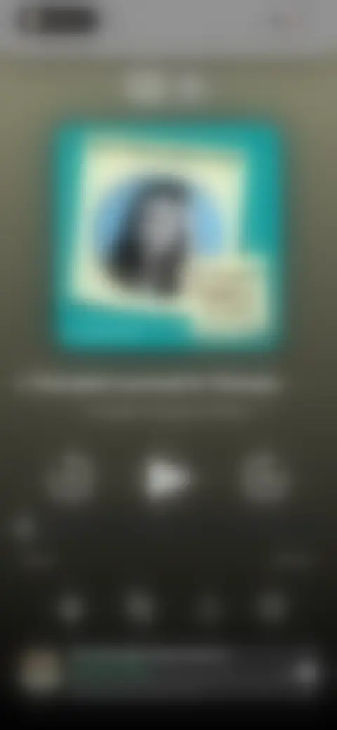 Locked screen preview