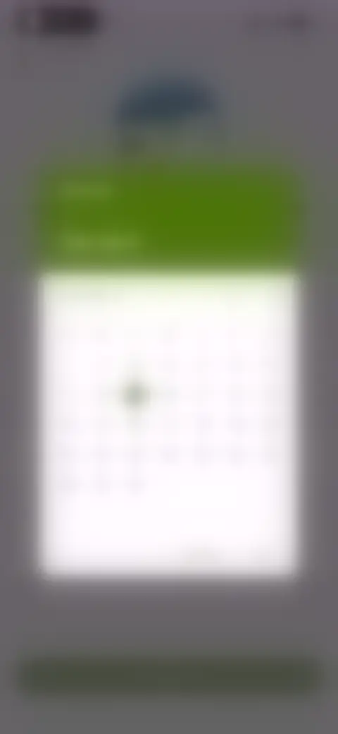 Locked screen preview