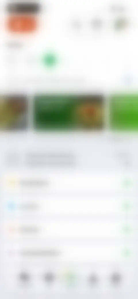Locked screen preview