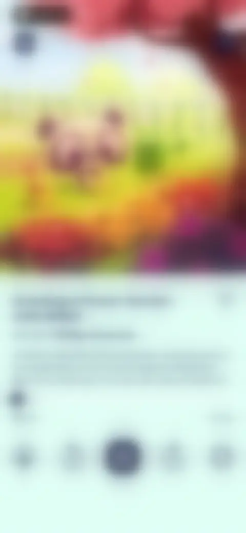 Locked screen preview
