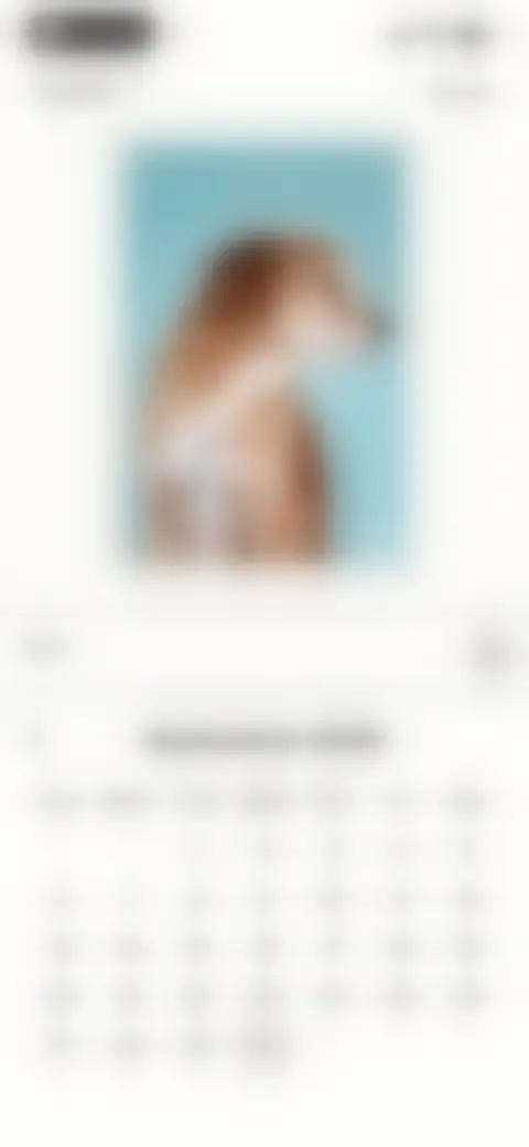 Locked screen preview