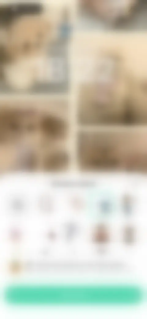 Locked screen preview