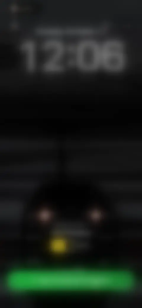 Locked screen preview