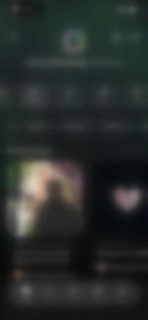 Locked screen preview