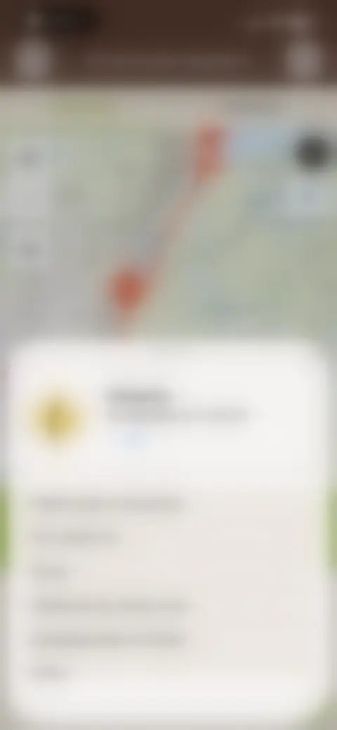 Locked screen preview
