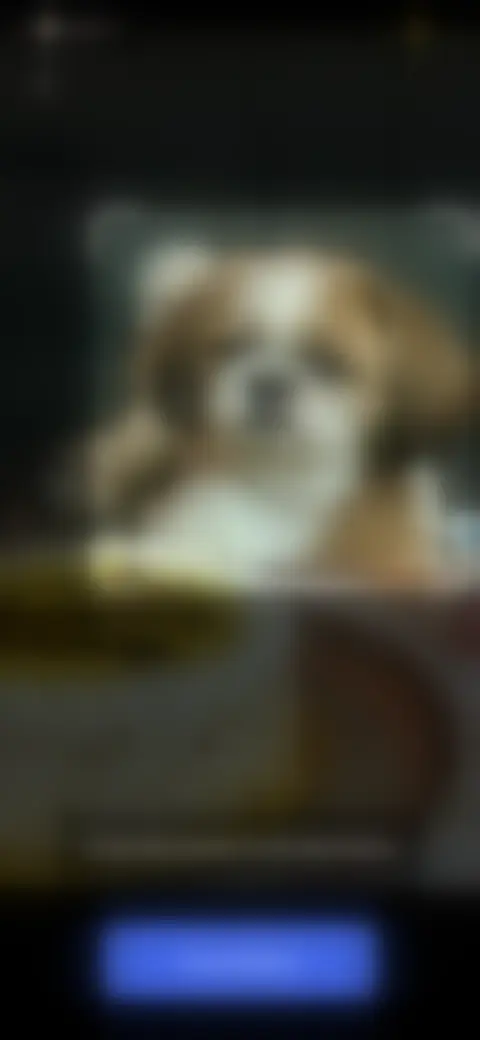 Locked screen preview