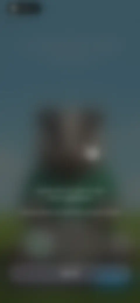 Locked screen preview