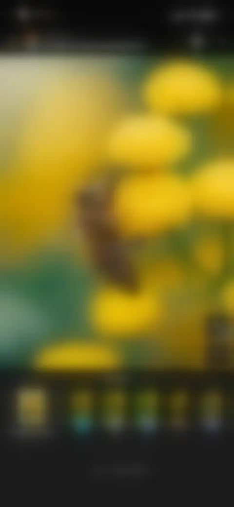 Locked screen preview