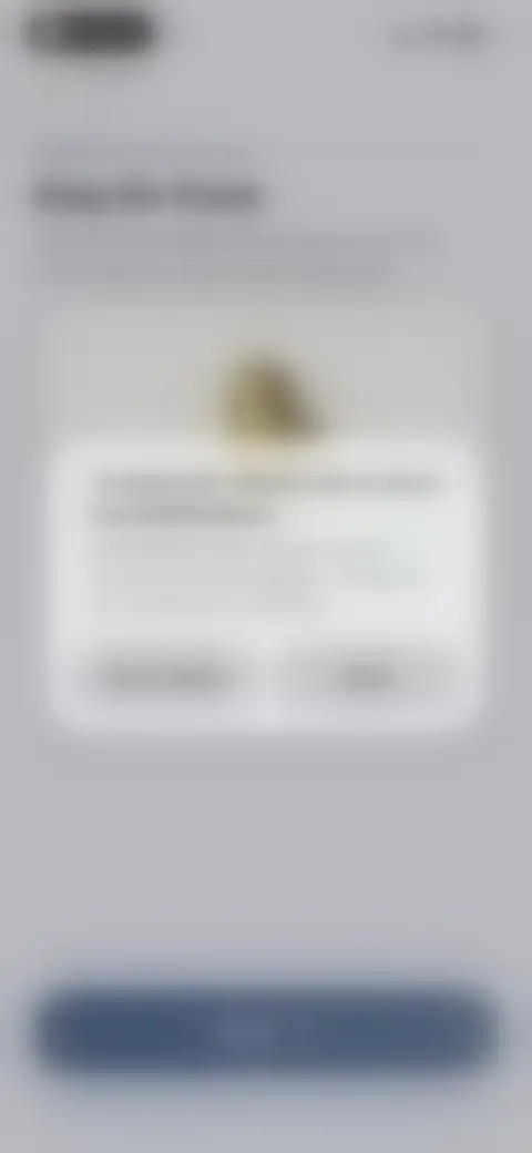 Locked screen preview