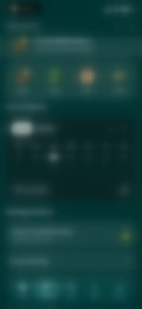 Locked screen preview