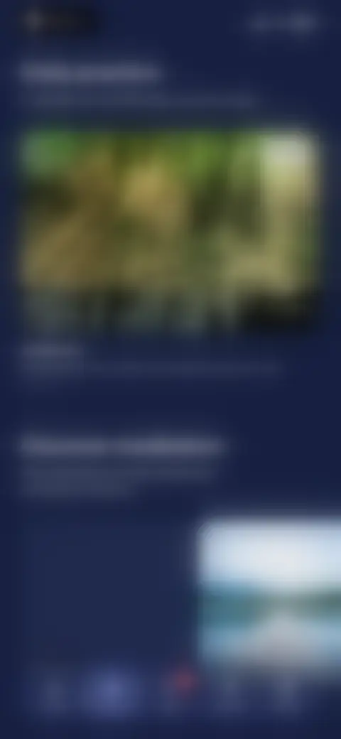 Locked screen preview