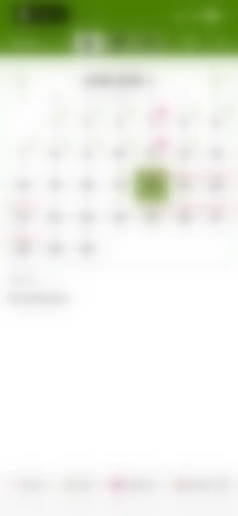 Locked screen preview