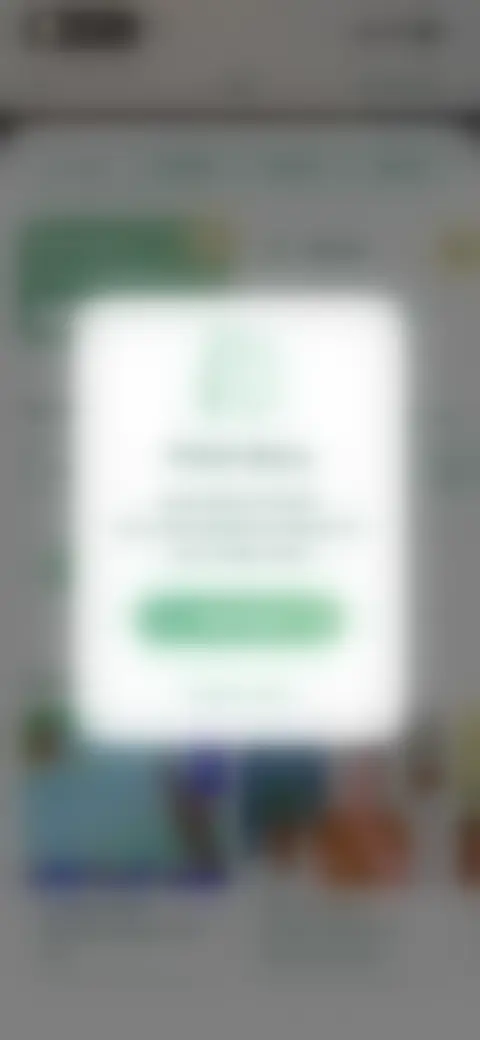 Locked screen preview