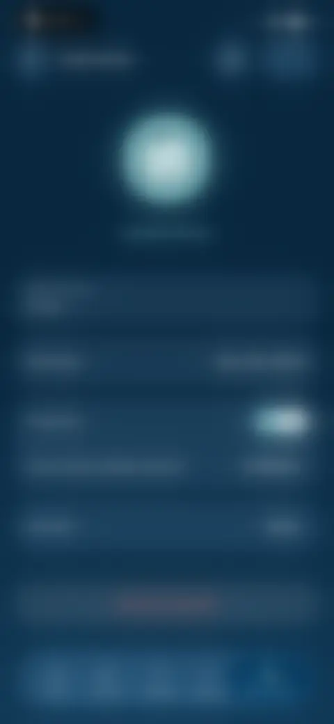 Locked screen preview