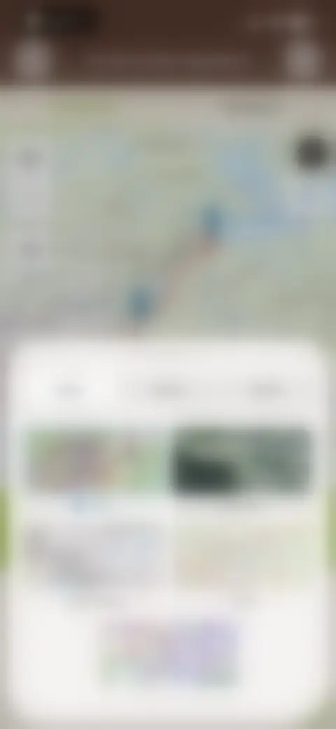 Locked screen preview