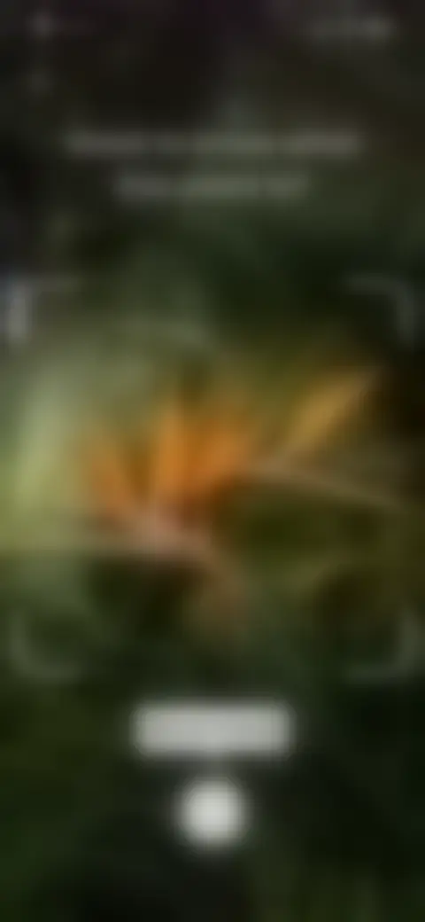 Locked screen preview