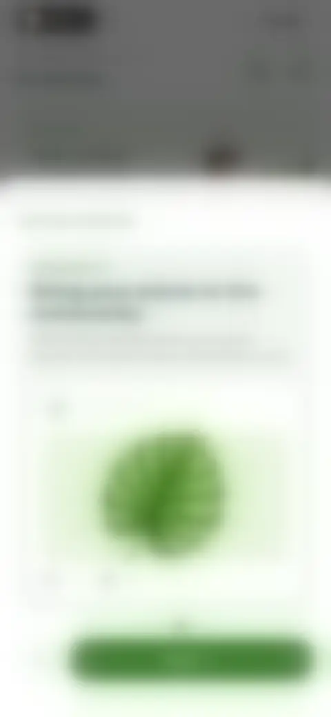 Locked screen preview