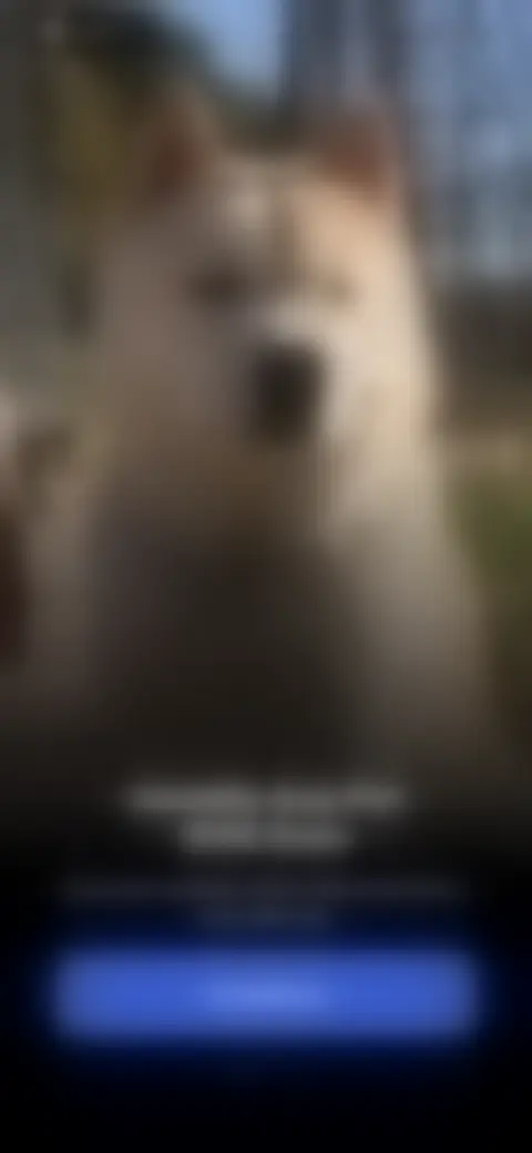 Locked screen preview