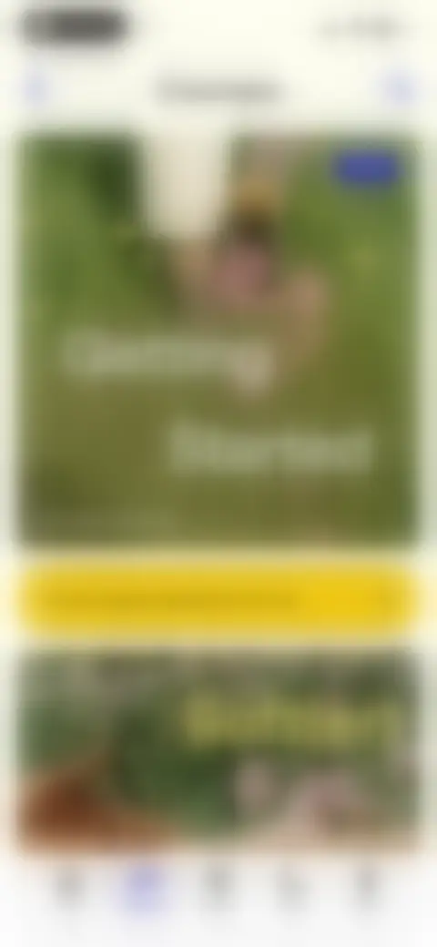 Locked screen preview