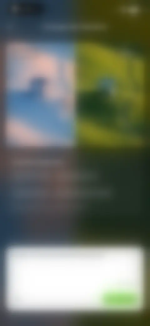 Locked screen preview