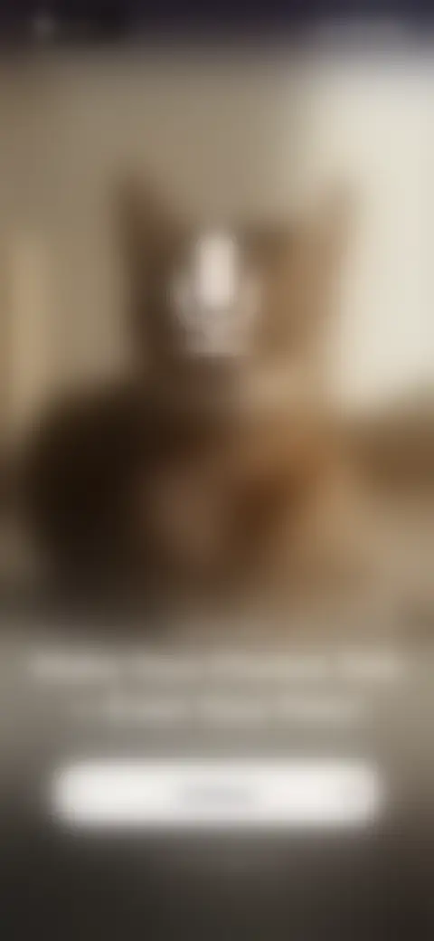 Locked screen preview