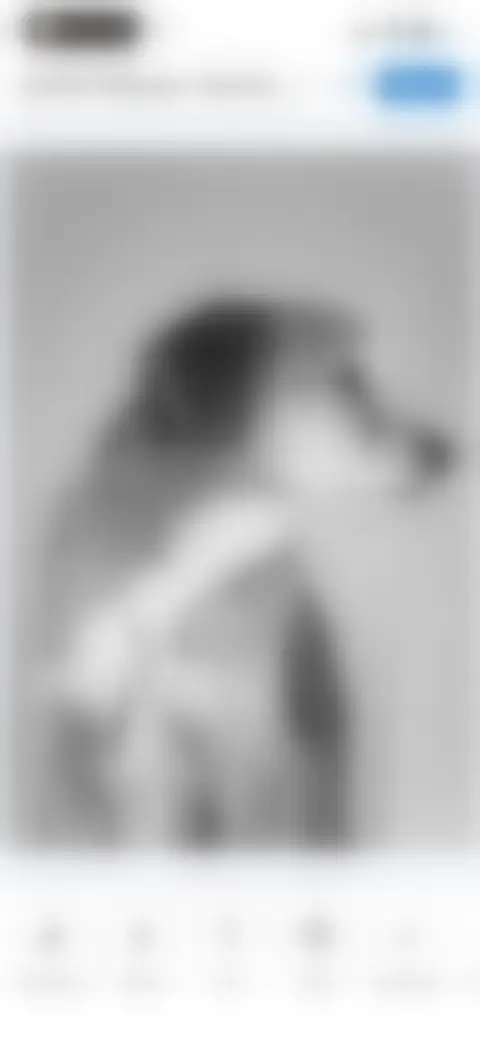 Locked screen preview