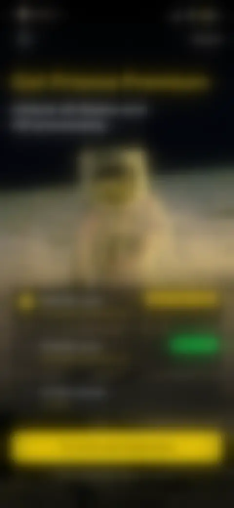 Locked screen preview