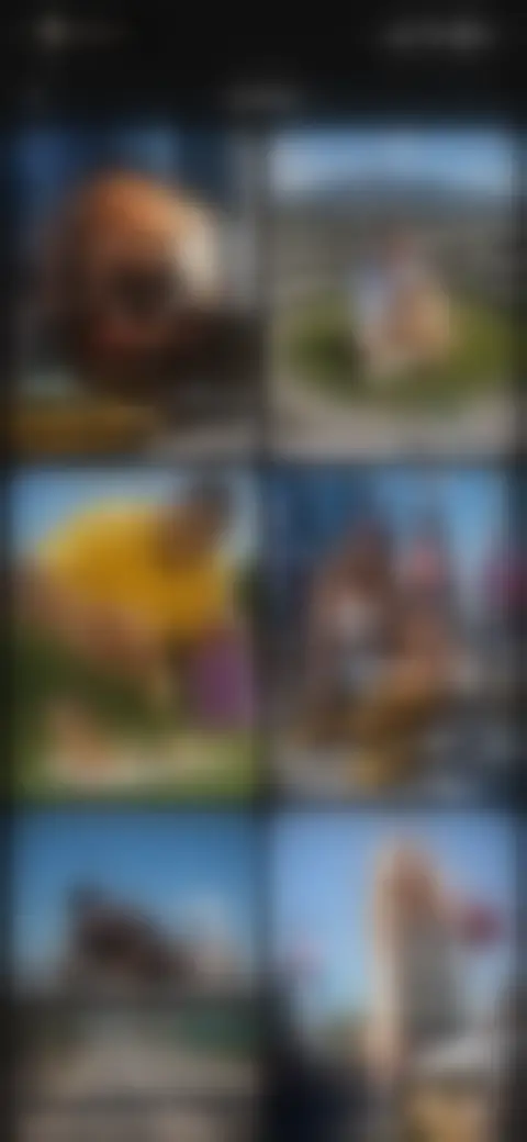 Locked screen preview