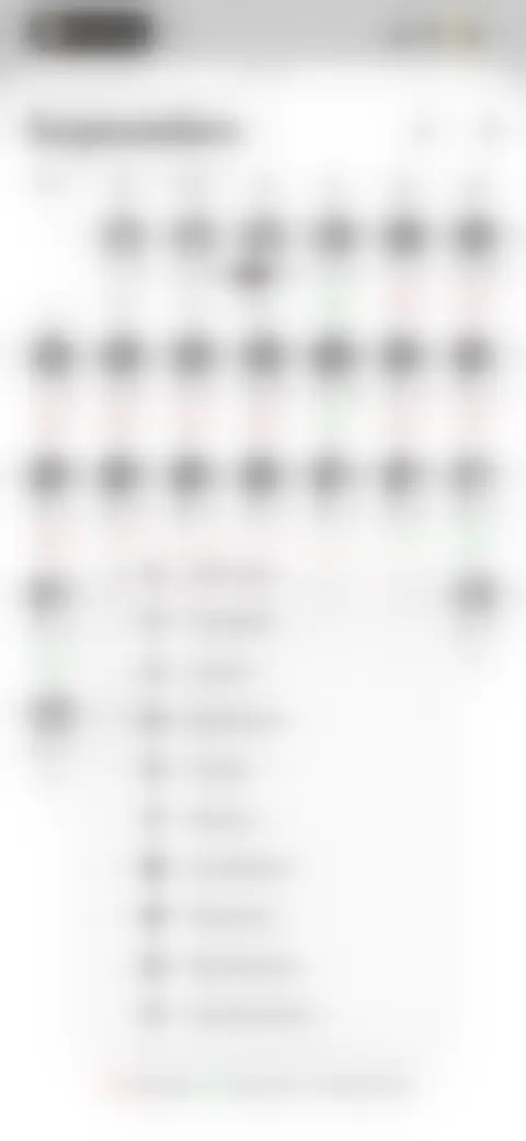 Locked screen preview