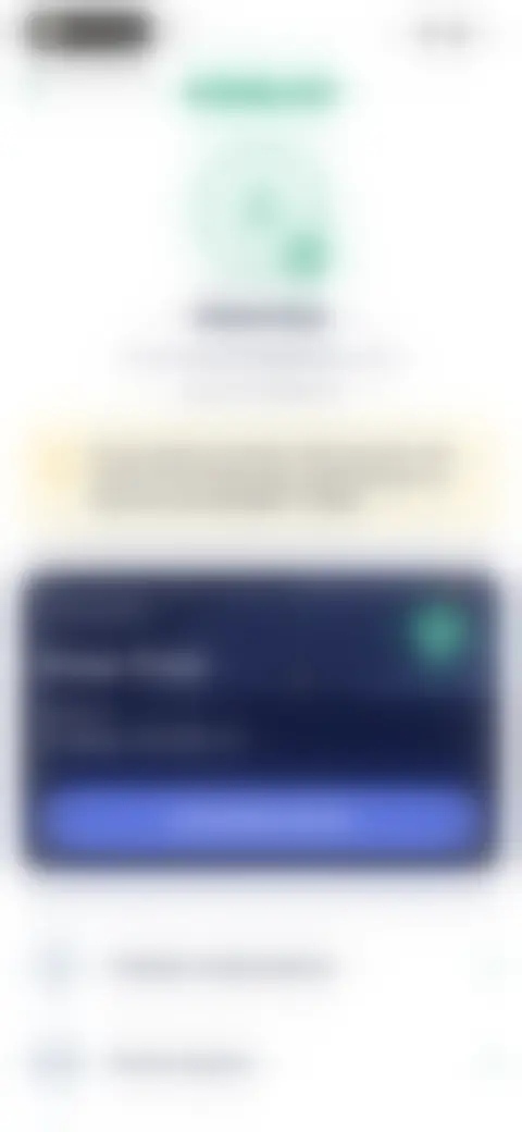 Locked screen preview