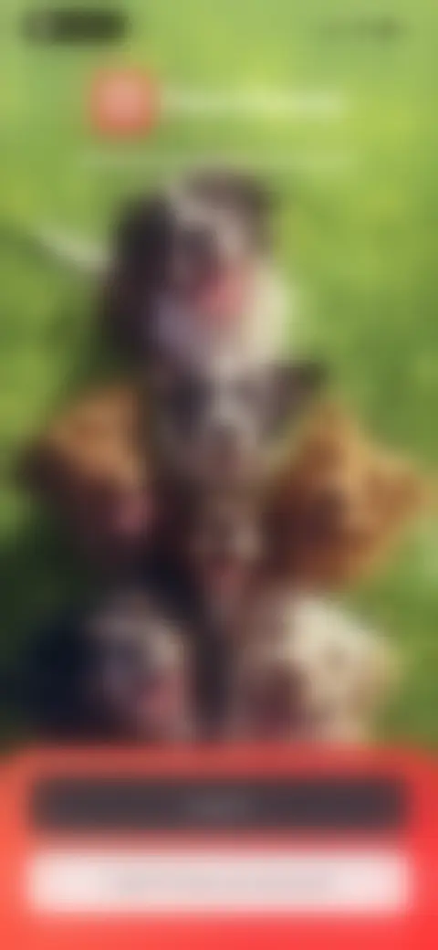 Locked screen preview