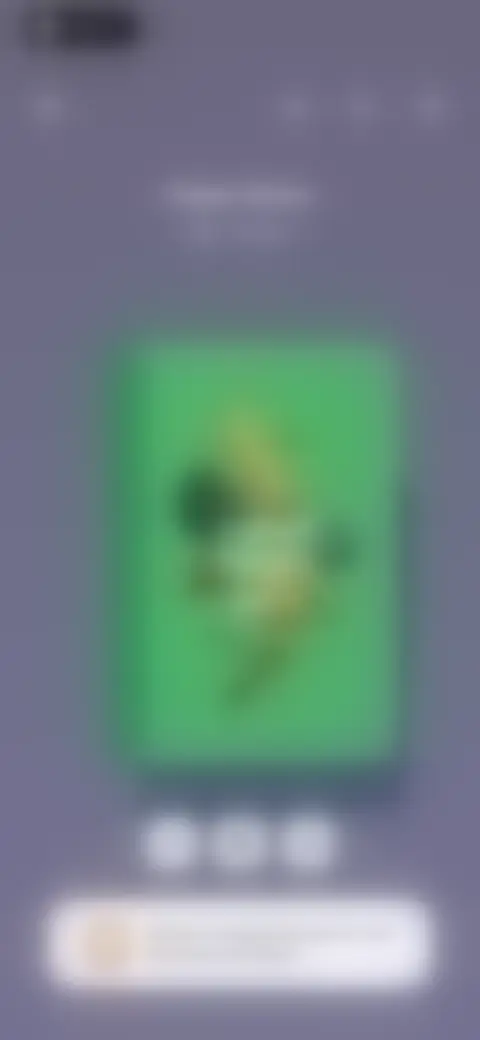 Locked screen preview