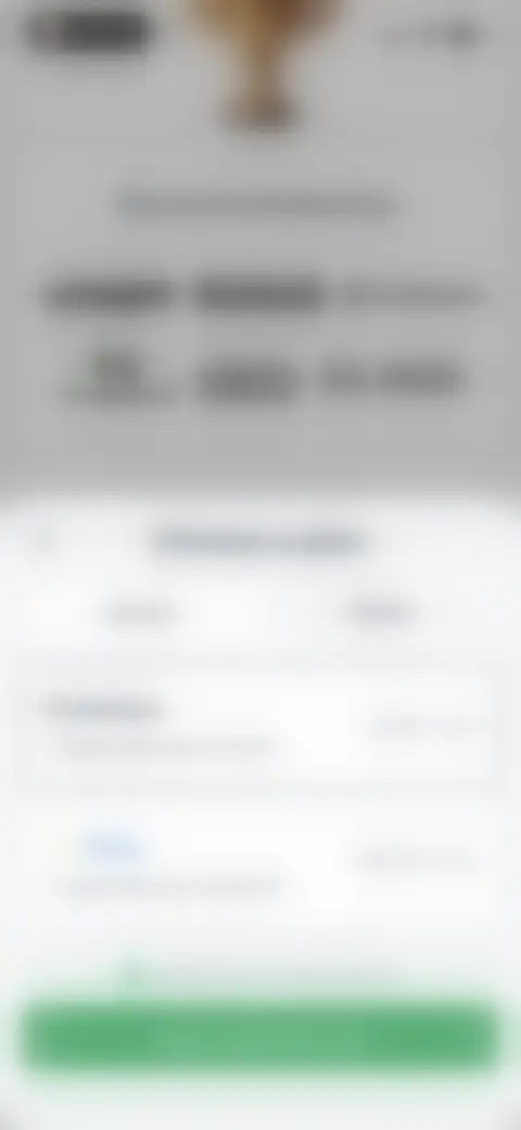 Locked screen preview
