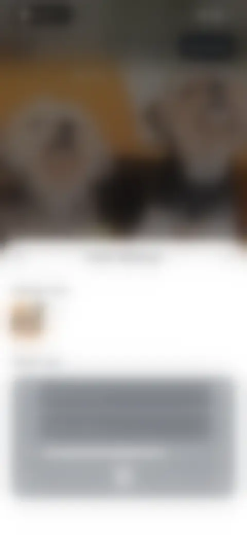 Locked screen preview