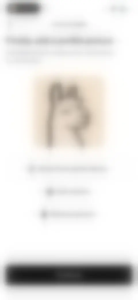 Locked screen preview