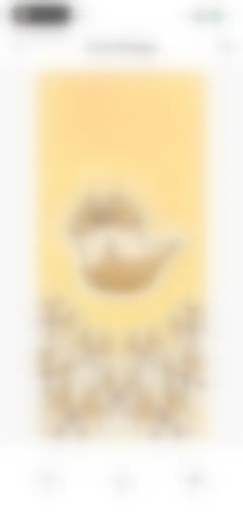Locked screen preview