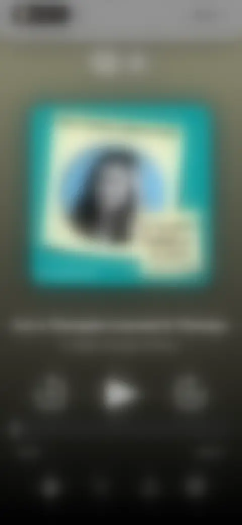 Locked screen preview