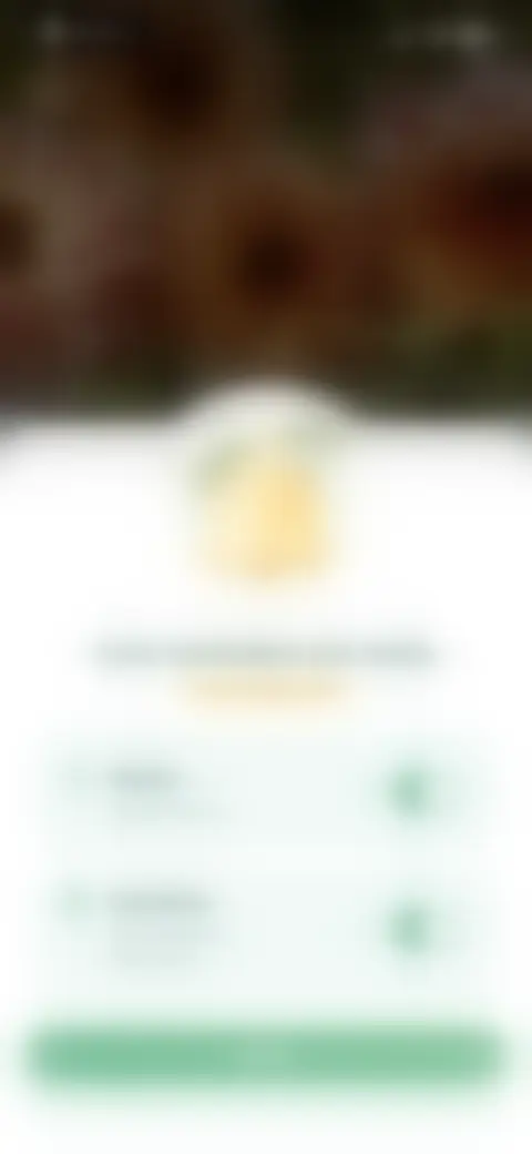 Locked screen preview