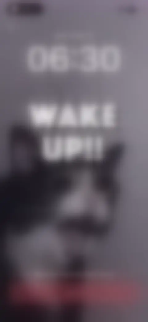 Locked screen preview