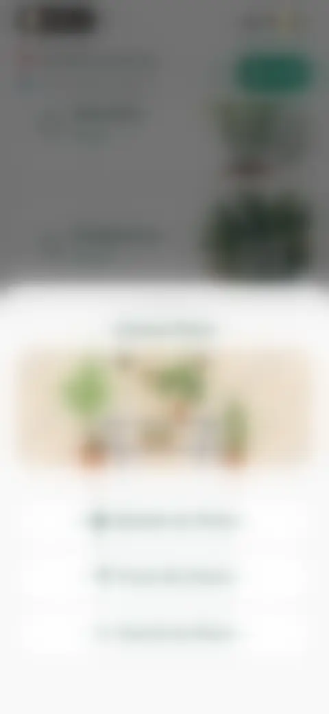 Locked screen preview