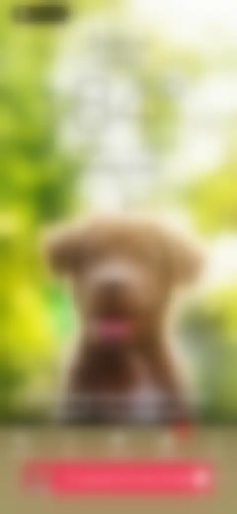 Locked screen preview
