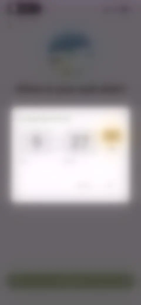 Locked screen preview