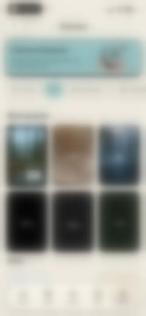 Locked screen preview