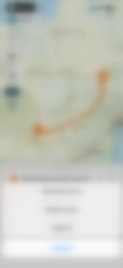 Locked screen preview