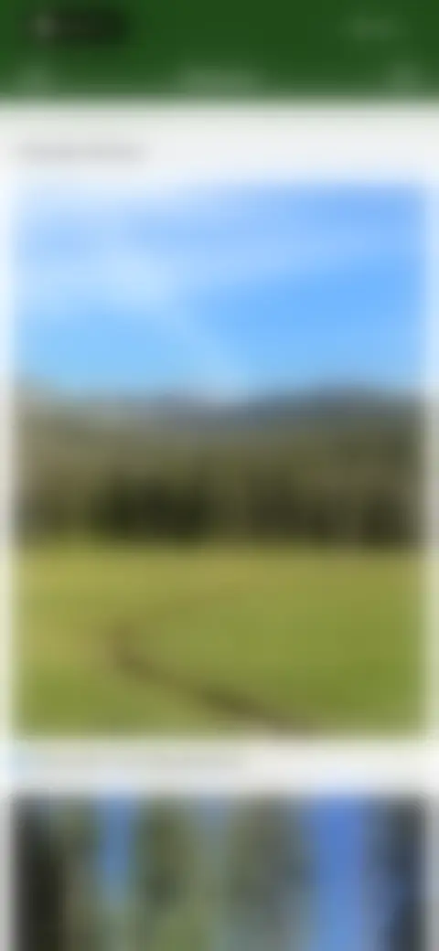 Locked screen preview
