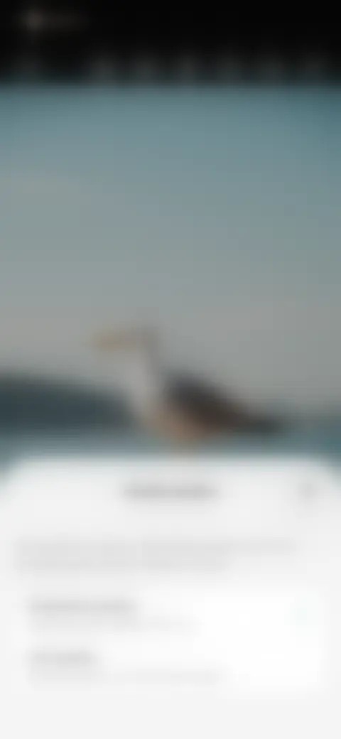 Locked screen preview