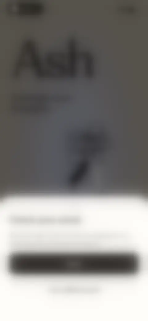 Locked screen preview