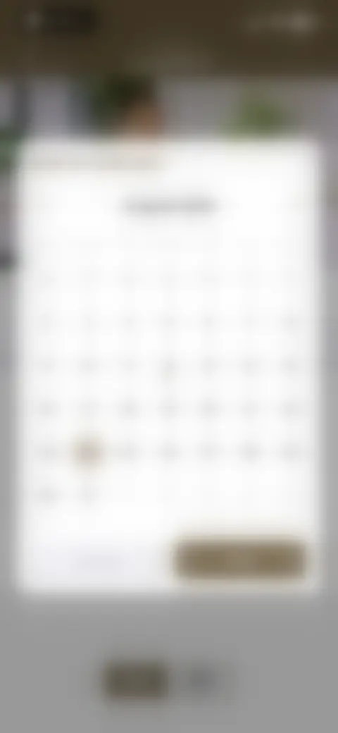 Locked screen preview
