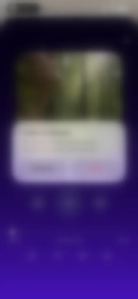 Locked screen preview