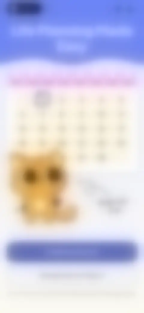 Locked screen preview